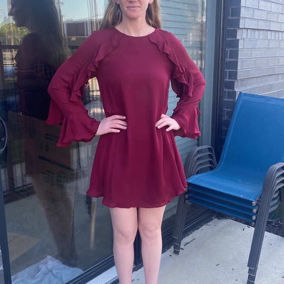 Nicole Miller Artelier Mini Dress - Wine, Burgundy, Silk —  Cocktail Dress - Picture 5 of 5